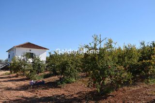 Οικόπεδο 6.000 τ.μ. για πώληση
