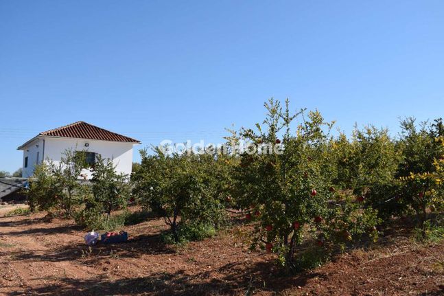 Οικόπεδο 6.000 τ.μ. για πώληση, Κορινθία, Βόχα