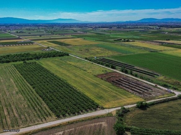 Αγροτεμάχια 37.000 τ.μ. πρός πώληση, Φθιώτιδας, Δαφνούσες