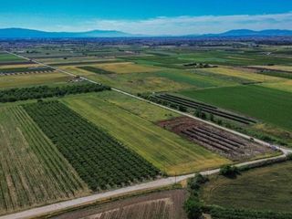 Αγροτεμάχια 37.000 τ.μ. για πώληση