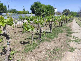 Αγροτεμάχια 500 τ.μ. για πώληση