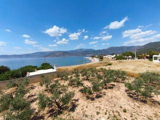 Οικόπεδο 1.109 τ.μ. προς πώληση, Αλεποχώρι Αττικής-thumb-24
