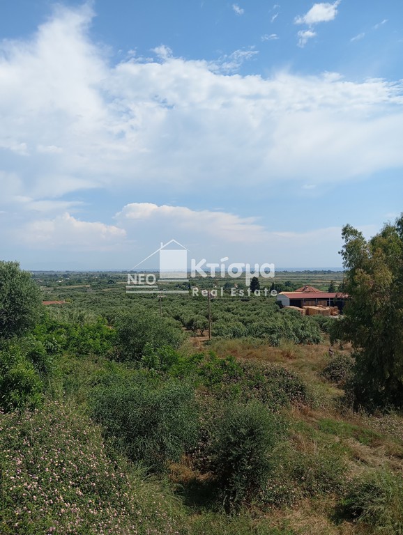 Οικόπεδο 2.378 τ.μ. προς πώληση, Άγιος Γεώργιος Πύργου
