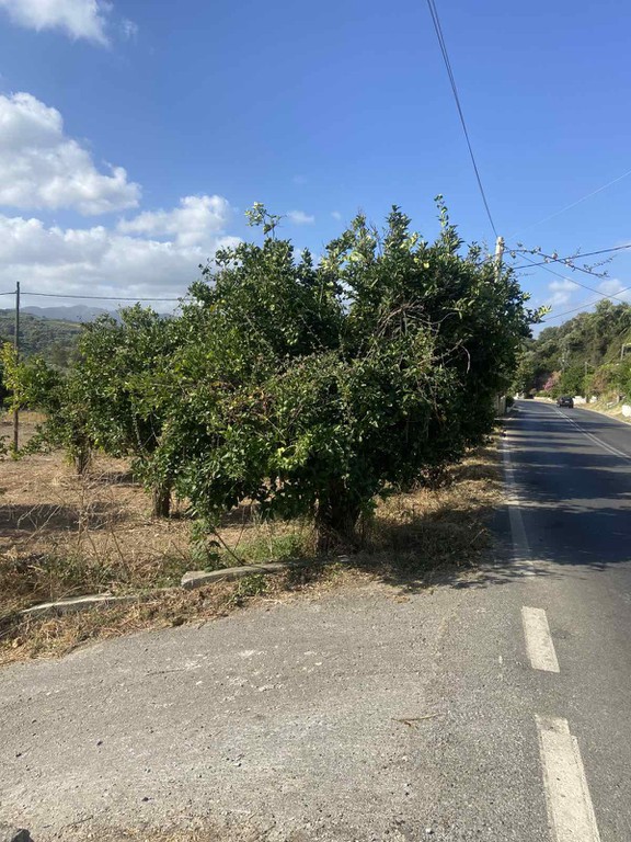 Οικόπεδο 411,97 τ.μ. προς πώληση, Νερατζιά Βουκολιών