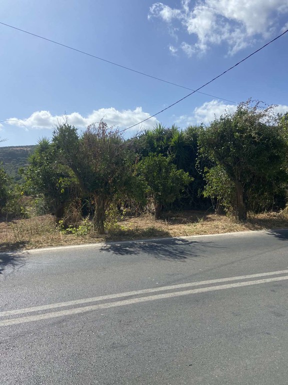 Οικόπεδο 411,97 τ.μ. προς πώληση, Νερατζιά Βουκολιών