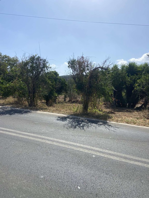 Οικόπεδο 411,97 τ.μ. προς πώληση, Νερατζιά Βουκολιών