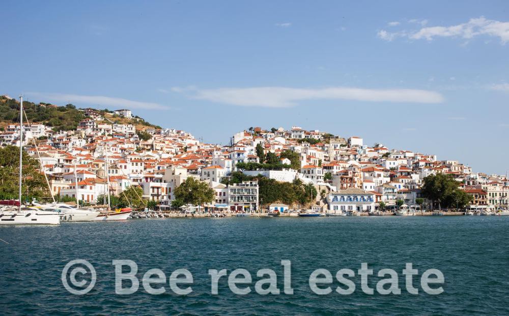 Μονοκατοικία 245 τ.μ. προς πώληση, Χώρα Σκοπέλου