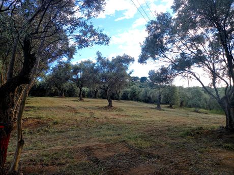 Parcel 1.695 sqm for sale