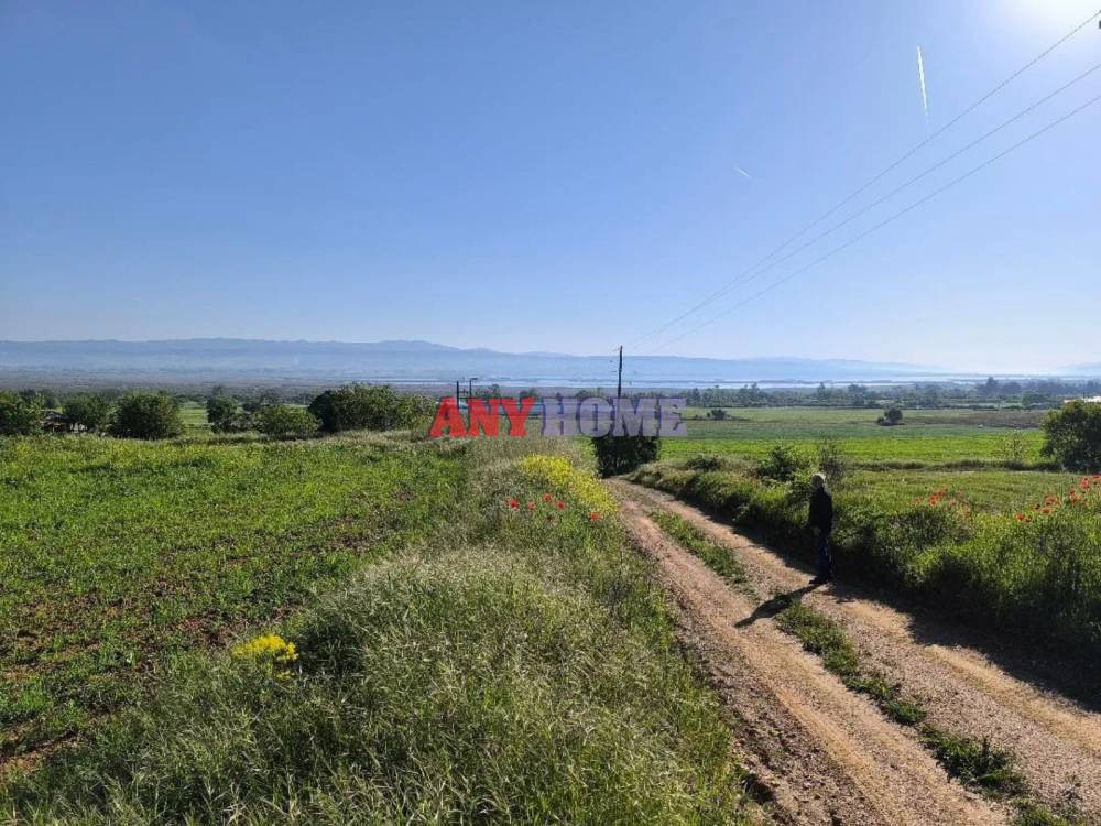 Αγροτεμάχια 11.388 τ.μ. προς πώληση, Κέντρο Χορτιάτη