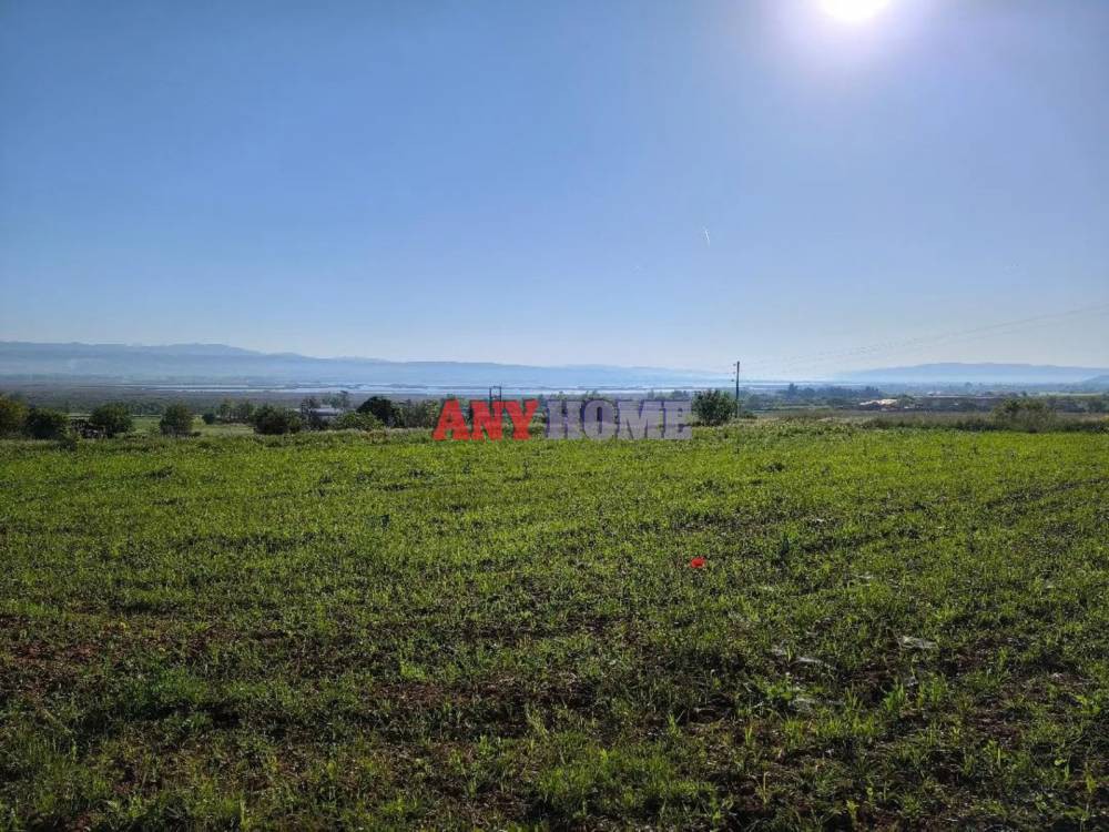 Αγροτεμάχια 11.388 τ.μ. προς πώληση, Κέντρο Χορτιάτη