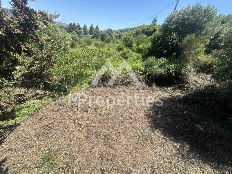 Οικόπεδο 789 τ.μ. πρός πώληση, Χαλκιδική, Κασσάνδρα