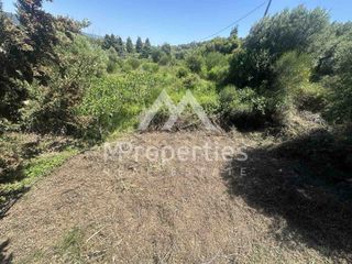 Οικόπεδο 789 τ.μ. πρός πώληση, Χαλκιδική, Κασσάνδρα-thumb-2