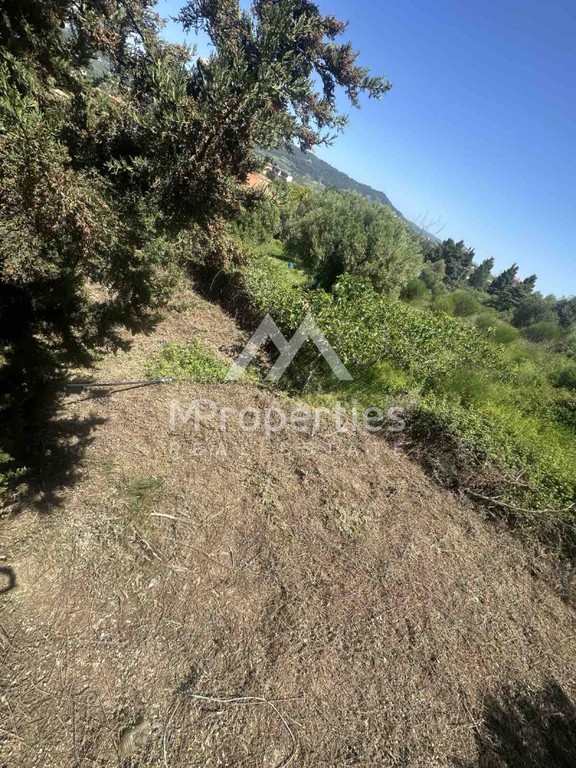 Οικόπεδο 789 τ.μ. πρός πώληση, Χαλκιδική, Κασσάνδρα