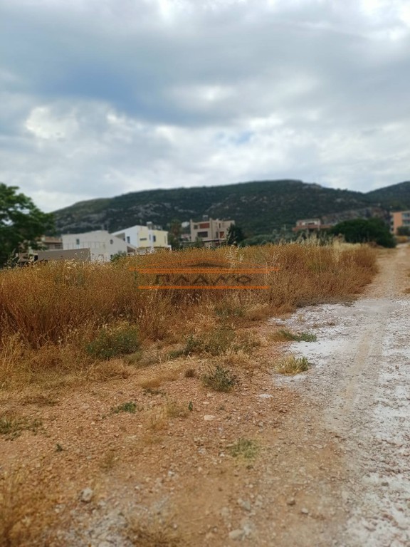 Οικόπεδο 1.213 τ.μ. προς πώληση, Πόρτο Ράφτη