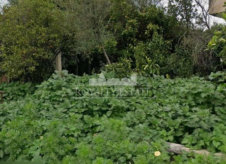 Οικόπεδο 342 τ.μ. πρός πώληση