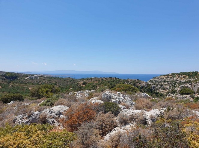 Οικόπεδο 15.022 τ.μ. προς πώληση, Καμπάνι
