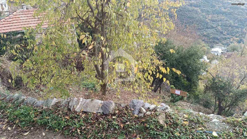 Οικόπεδο 1.606 τ.μ. πρός πώληση, Μαγνησία, Πορταριά