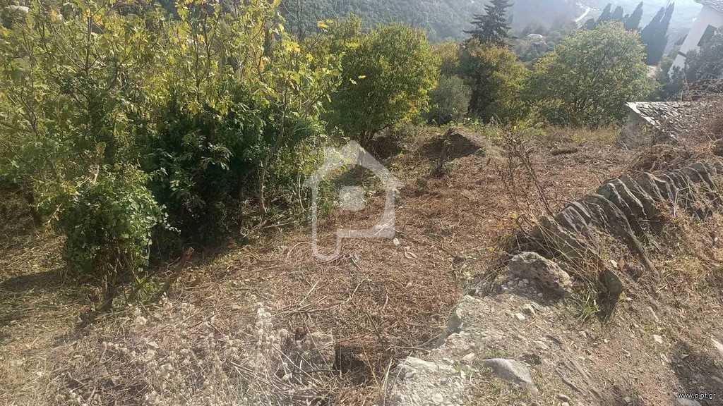 Οικόπεδο 1.606 τ.μ. πρός πώληση, Μαγνησία, Πορταριά