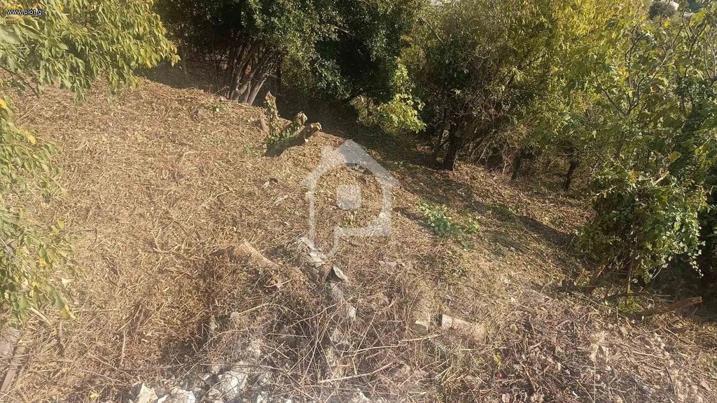 Οικόπεδο 1.606 τ.μ. πρός πώληση, Μαγνησία, Πορταριά