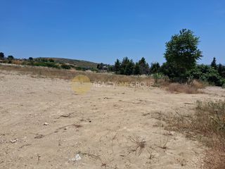 Αγροτεμάχια 4.100 τ.μ. για πώληση