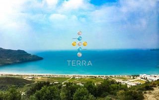Αγροτεμάχια 4.730 τ.μ. για πώληση