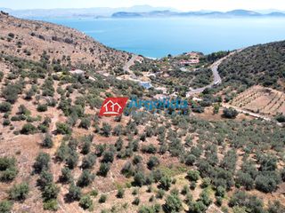 Αγροτεμάχια 4.260 τ.μ. για πώληση, Αργολίδα, Λέρνα-thumb-4