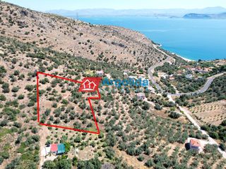 Αγροτεμάχια 4.260 τ.μ. για πώληση, Αργολίδα, Λέρνα-thumb-10