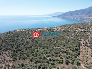Αγροτεμάχια 4.260 τ.μ. για πώληση, Αργολίδα, Λέρνα-thumb-11