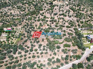 Αγροτεμάχια 4.260 τ.μ. για πώληση, Αργολίδα, Λέρνα-thumb-6