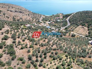 Αγροτεμάχια 4.260 τ.μ. για πώληση, Αργολίδα, Λέρνα-thumb-8