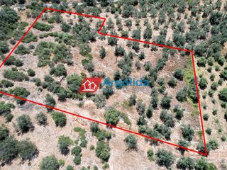 Αγροτεμάχια 4.260 τ.μ. για πώληση, Αργολίδα, Λέρνα-thumb-2