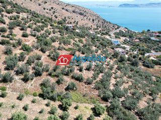 Αγροτεμάχια 4.260 τ.μ. για πώληση, Αργολίδα, Λέρνα-thumb-7