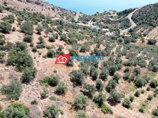 Αγροτεμάχια 4.260 τ.μ. για πώληση, Αργολίδα, Λέρνα-thumb-17