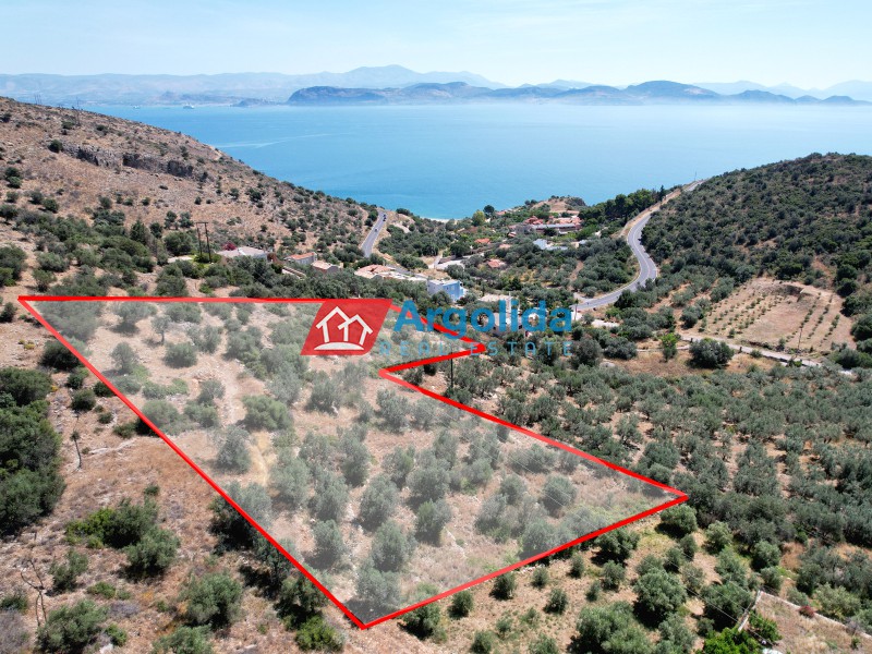 Αγροτεμάχια 4.260 τ.μ. για πώληση, Αργολίδα, Λέρνα