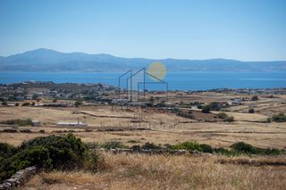 Αγροτεμάχια 4.850 τ.μ. για πώληση