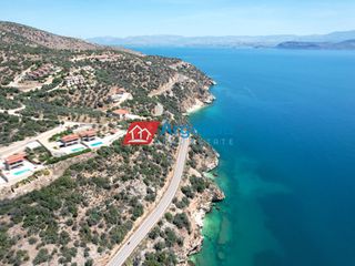 Αγροτεμάχια 7.680 τ.μ. για πώληση, Αργολίδα, Λέρνα-thumb-8