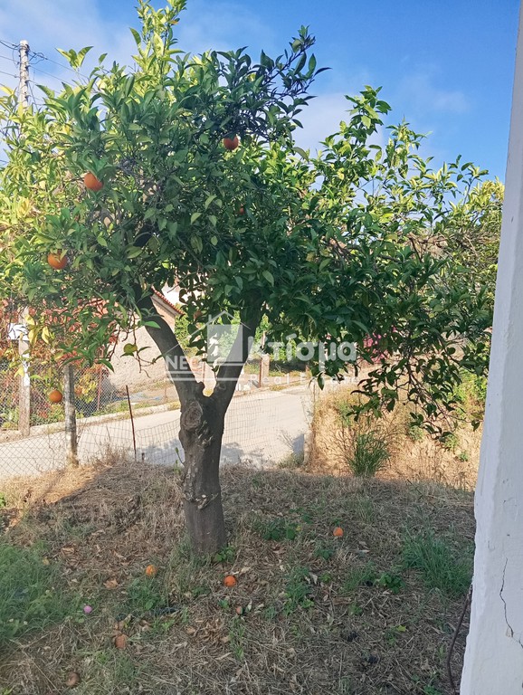 Μονοκατοικία 53 τ.μ. πρός πώληση, Ν. Ηλείας, Ιαρδανός