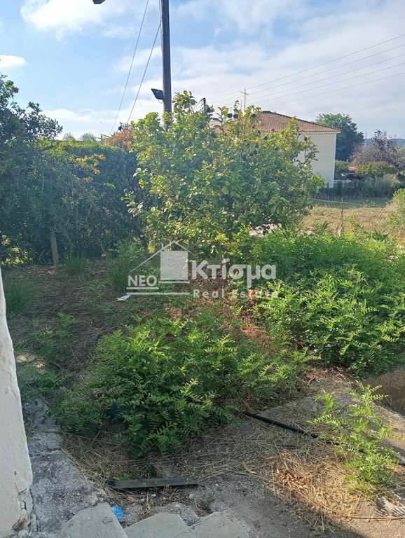 Μονοκατοικία 53 τ.μ. πρός πώληση, Ν. Ηλείας, Ιαρδανός