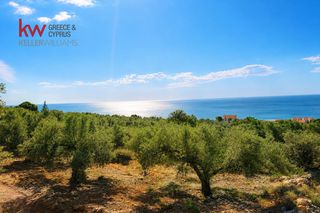 Οικόπεδο 2.428,63 τ.μ. για πώληση