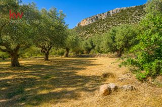 Οικόπεδο 2.428,63 τ.μ. πρός πώληση, Λακωνία, Μονεμβασιά-thumb-1