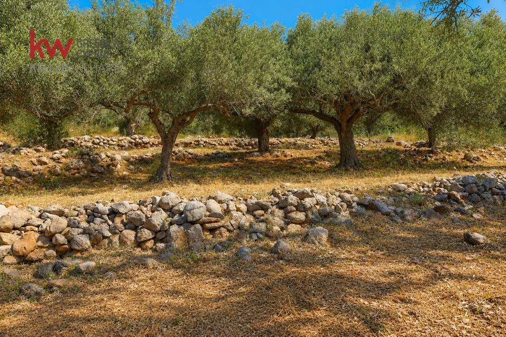 Οικόπεδο 2.428,63 τ.μ. πρός πώληση, Λακωνία, Μονεμβασιά