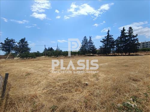 Land plot 1.450 sqm for sale, Athens - East, Koropi
