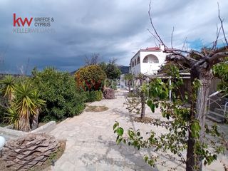 Ξενοδοχείο 398 τ.μ. για πώληση, Κυκλάδες, Άνδρος-thumb-32