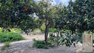 Αγροτεμάχια 331 τ.μ. για πώληση
