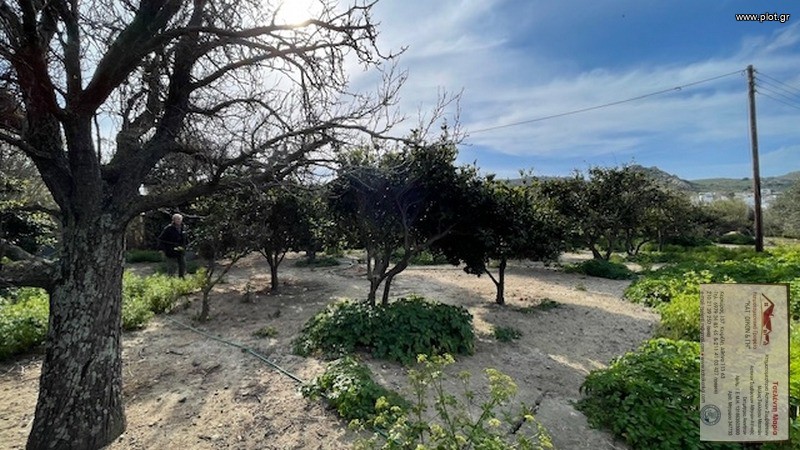 Αγροτεμάχια 331 τ.μ. πρός πώληση, Κυκλάδες, Νάξος