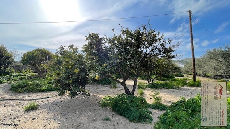 Αγροτεμάχια 331 τ.μ. πρός πώληση, Κυκλάδες, Νάξος