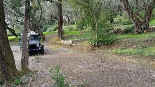 Αγροτεμάχια 11.100 τ.μ. για πώληση, Ν. Κέρκυρας, Κέρκυρα-thumb-5