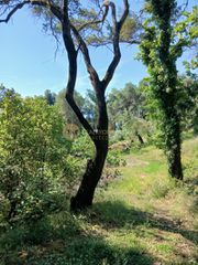 Αγροτεμάχια 11.100 τ.μ. για πώληση, Ν. Κέρκυρας, Κέρκυρα-thumb-4