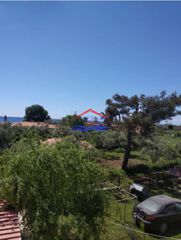 Αγροτεμάχια 170 τ.μ. για ενοικίαση, Εβρος, Αλεξανδρούπολη-thumb-2