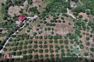 Οικόπεδο 5.194,28 τ.μ. για πώληση, Μεσσηνία, Ιθώμης-thumb-6